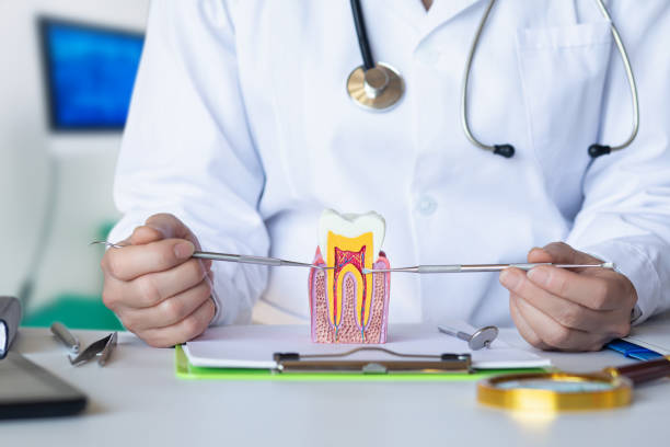 Best Emergency Dentist for Lost Fillings or Crowns in Allendale, MI